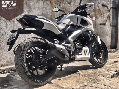 Dominar | 400 | Belly - Autologue Design