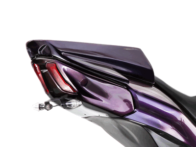 Dominar 250/400 | Tail Tidy - Autologue Design